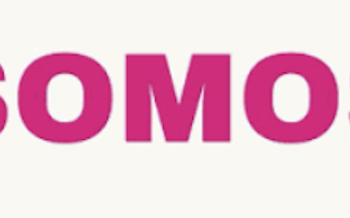INE rechaza nuevamente imagen del partido político “Somos”.